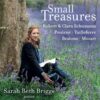 small treasures album cover
